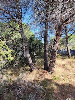 Land - Sale - SPLITSKO-DALMATINSKA - ČIOVO - OKRUG GORNJI