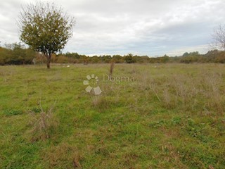 Land - Sale - ISTARSKA - ŽMINJ - ŽMINJ