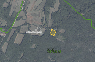 Land - Sale - ISTARSKA - LIŽNJAN - ŠIŠAN