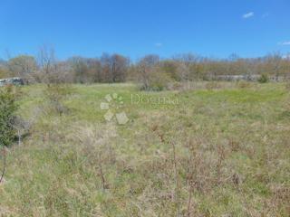Land - Sale - ISTARSKA - KANFANAR - MRGANI