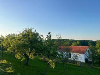 Haus - Verkauf - OSJEČKO-BARANJSKA - NAŠICE - LONDŽICA