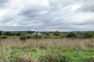 Land - Sale - ISTARSKA - BARBAN - BARBAN