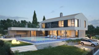 Land - Sale - ISTARSKA - BUJE - BUJE