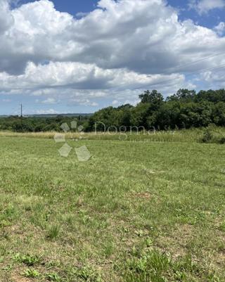 Land - Sale - ISTARSKA - VIŠNJAN - BAČVA