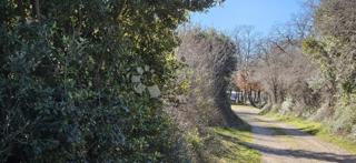 Land - Sale - ISTARSKA - VODNJAN - VODNJAN