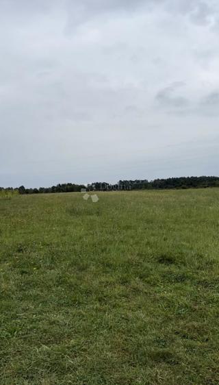 Land - Sale - LIČKO-SENJSKA - GOSPIĆ - DEBELO BRDO I