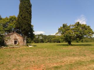 Land - Sale - ISTARSKA - ŽMINJ - ŽMINJ