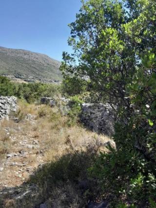 Zemljište - Prodaja - DUBROVAČKO-NERETVANSKA - KONAVLE - MOČIĆI