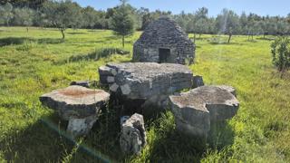 Land - Sale - ISTARSKA - VODNJAN - VODNJAN