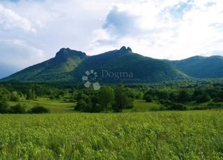 Land - Sale - KARLOVAČKA - OGULIN - OGULIN