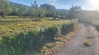 Land - Sale - ZADARSKA - PAŠMAN - ŽDRELAC