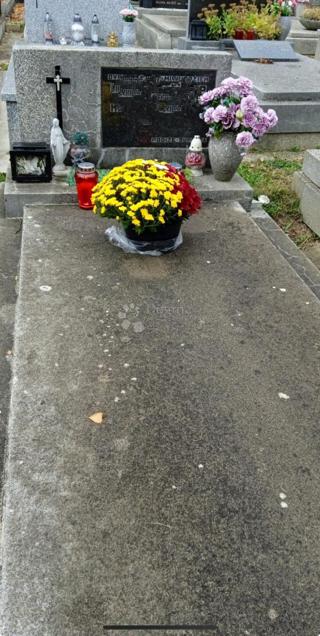 Stan - Prodaja - GRAD ZAGREB - ZAGREB - DONJA DUBRAVA