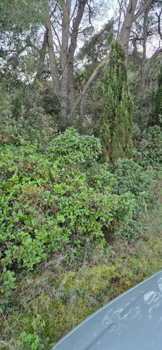 Zemljište - Prodaja - ZADARSKA - UGLJAN - KALI