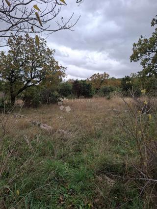 Land - Sale - ZADARSKA - POSEDARJE - POSEDARJE