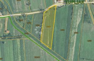 Land - Sale - ISTARSKA - PIĆAN - TUPLJAK