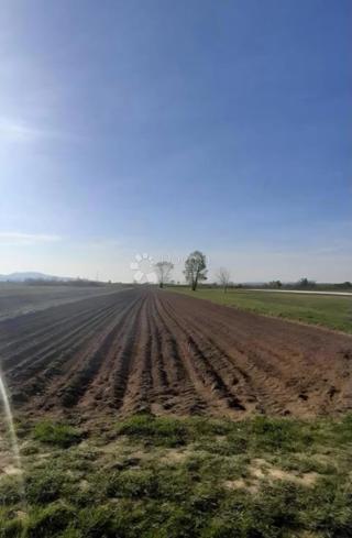 Grundstück - Verkauf - ZAGREBAČKA - SVETA NEDELJA - STRMEC