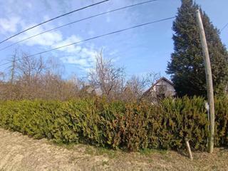 Zemljište - Prodaja - VIROVITIČKO-PODRAVSKA - SOPJE - KAPINCI
