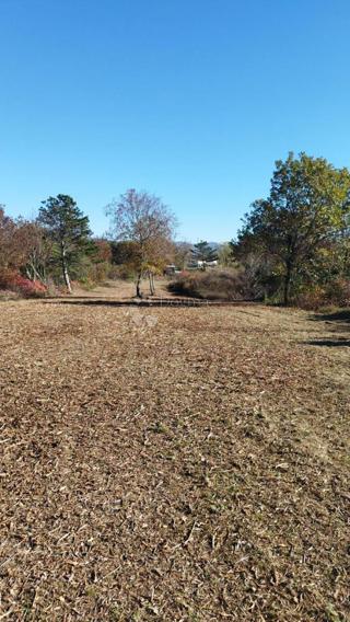 Land - Sale - ISTARSKA - LABIN - LABIN