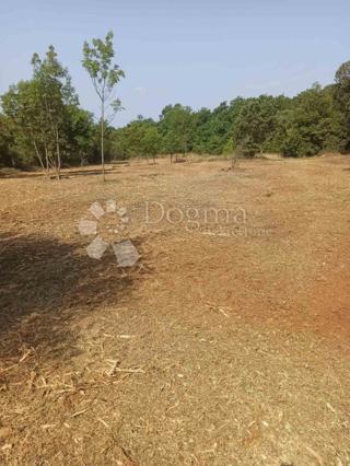 Grundstück - Verkauf - ISTARSKA - MARČANA - KRNICA