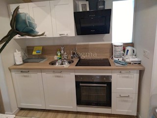 Flat - Rent - PRIMORSKO-GORANSKA - RIJEKA - RIJEKA