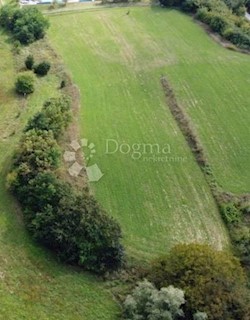 Land - Sale - ISTARSKA - PAZIN - PAZIN