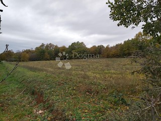 Grundstück - Verkauf - ISTARSKA - BARBAN - BARBAN