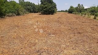 Zemljište - Prodaja - ISTARSKA - LABIN - LABIN