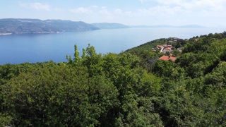 Land - Sale - ISTARSKA - KRŠAN - PLOMIN