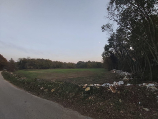 Land - Sale - ISTARSKA - ŽMINJ - ŽMINJ