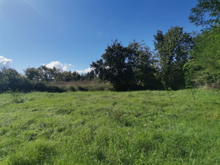 Land - Sale - ISTARSKA - GROŽNJAN - GROŽNJAN