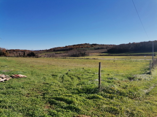 Land - Sale - ISTARSKA - VIŽINADA - VIŽINADA