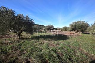 Zemljište - Prodaja - ŠIBENSKO-KNINSKA - TRIBUNJ - TRIBUNJ