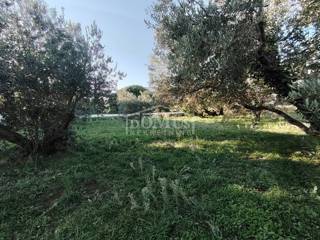 Land - Sale - ŠIBENSKO-KNINSKA - TRIBUNJ - TRIBUNJ