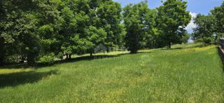 Land - Sale - ISTARSKA - GROŽNJAN - GROŽNJAN