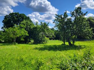 Land - Sale - ISTARSKA - BRTONIGLA - BRTONIGLA