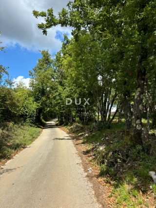 Land - Sale - ISTARSKA - PAZIN - LINDAR