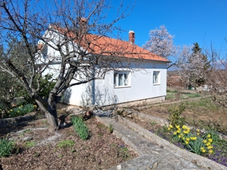 House - Rent - ZADARSKA - POLIČNIK - POLIČNIK