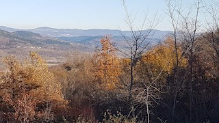 Grundstück - Verkauf - ISTARSKA - VIŽINADA - VIŽINADA