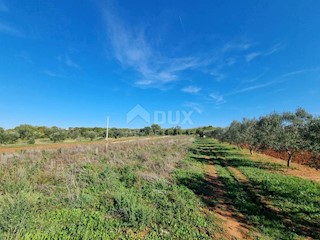 Land - Sale - ISTARSKA - PULA - PULA