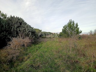 Land - Sale - ZADARSKA - NIN - ZATON