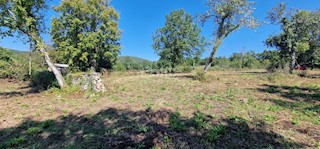 Land - Sale - ISTARSKA - OPRTALJ - OPRTALJ