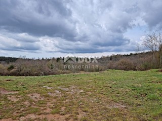 Land - Sale - ISTARSKA - GROŽNJAN - GROŽNJAN