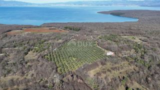 Land - Sale - PRIMORSKO-GORANSKA - KRK - MILOHNIĆI