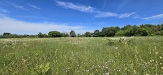 Land - Sale - ISTARSKA - SVETVINČENAT - SVETVINČENAT