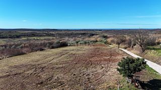 Land - Sale - ISTARSKA - BUJE - BUJE