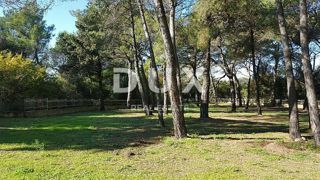 Land - Sale - ISTARSKA - ROVINJ - ROVINJ