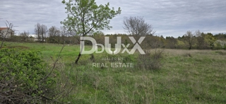 Land - Sale - ISTARSKA - SVETVINČENAT - SVETVINČENAT