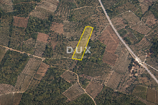 Zemljište - Prodaja - ISTARSKA - VODNJAN - VODNJAN