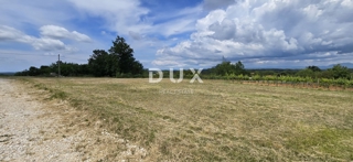 Grundstück - Verkauf - ISTARSKA - ŽMINJ - ŽMINJ
