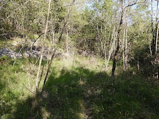Land - Sale - PRIMORSKO-GORANSKA - MOŠĆENIČKA DRAGA - BRSEČ